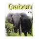 Gabon Magazine 01/02/2015